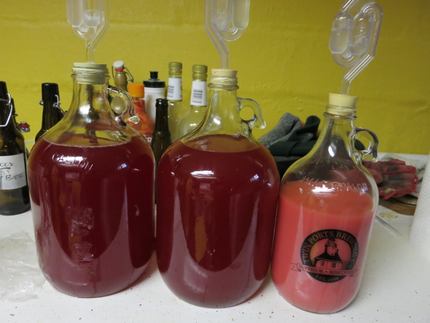 nectarine wine homebrew